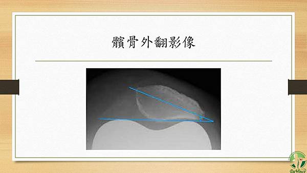 投影片8.JPG