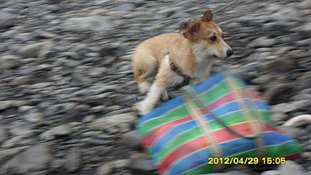 SAM_2671 SAM_2671