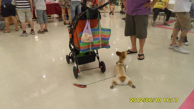 SAM_4177 SAM_4177