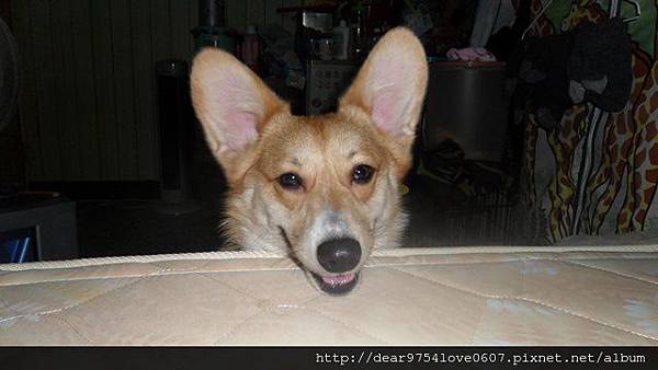 SAM_9012 SAM_9012
