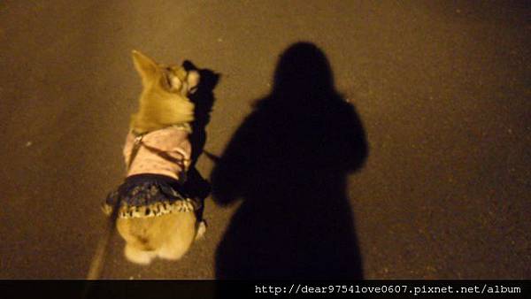 SAM_8972 SAM_8972