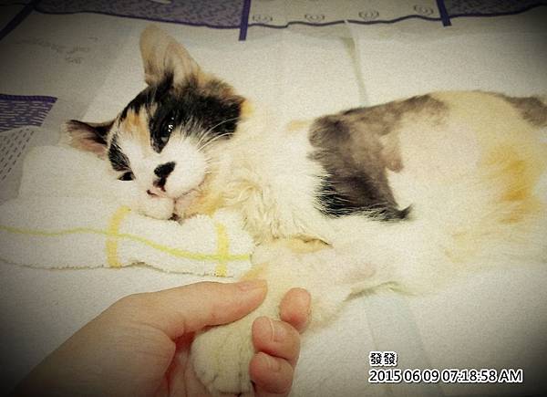 2015-06-09 07.18.58.jpg