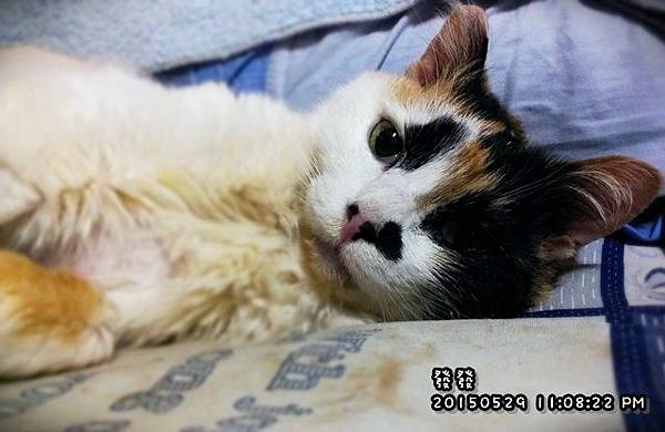 2015-05-29 23.08.22 2015-05-29 23.08.22