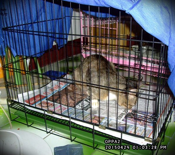 DSCF3622.JPG