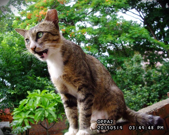 DSCF3692.JPG