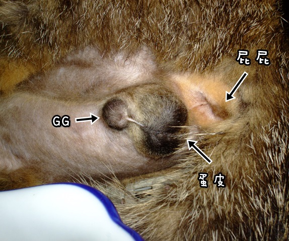 DSCF3611.JPG