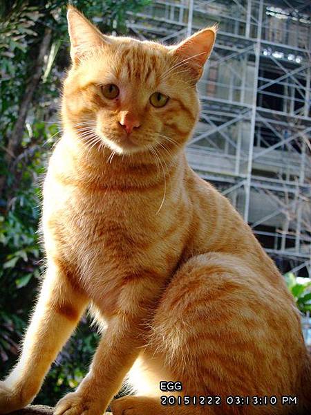 20151222.JPG 20151222.JPG