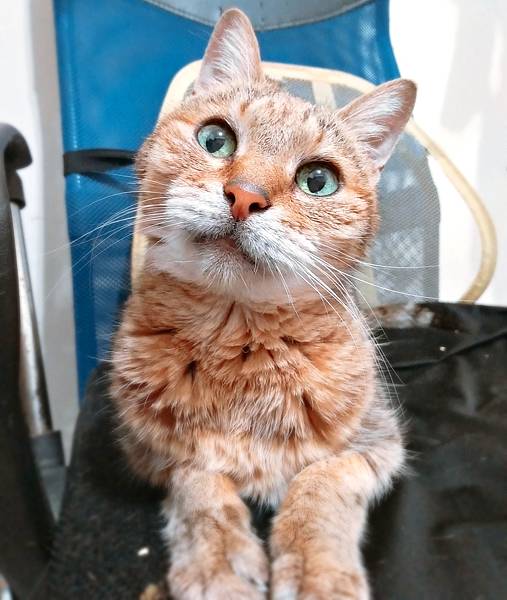 B612_20180508_182915_773.jpg B612_20180508_182915_773.jpg