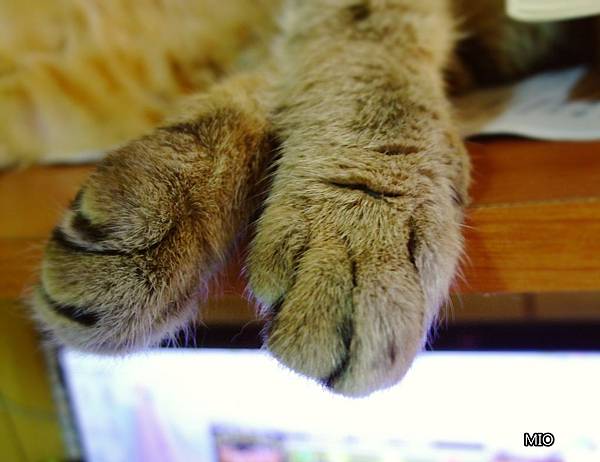 DSCF9626.jpg DSCF9626.jpg