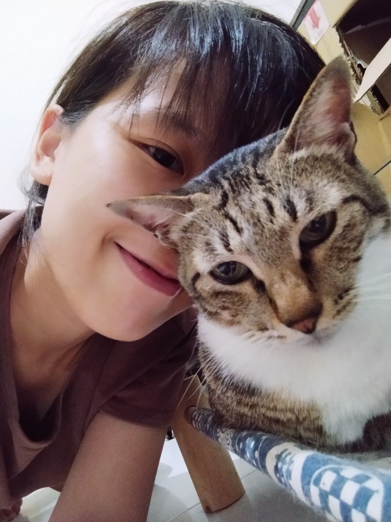 IMG_20210921_200415.jpg IMG_20210921_200415.jpg