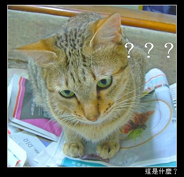 050724-MIO.JPG