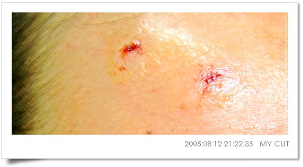 050812-CUT3.jpg