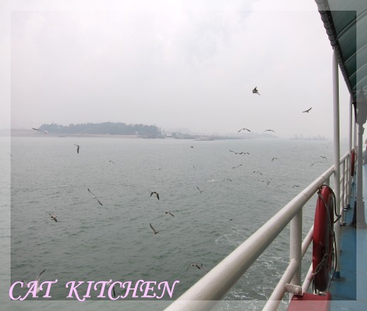 海鷗船2.JPG 海鷗船2.JPG