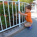 P1050790.JPG