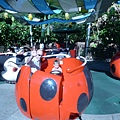 P1050999.JPG