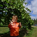 P1060200.JPG