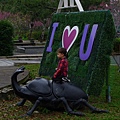 P1070830.JPG