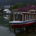 P1070843.JPG