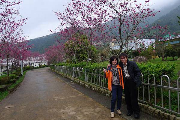 P1070869.JPG