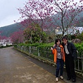 P1070869.JPG