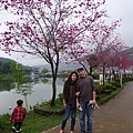 P1070882.JPG