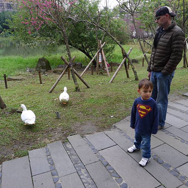 P1080188.JPG