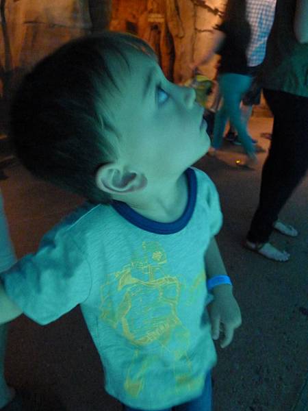 P1090010.JPG