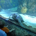 P1090014.JPG