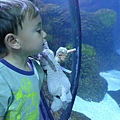 P1090017.JPG