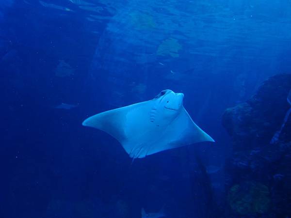 P1090024.JPG