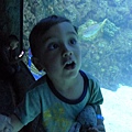 P1090033.JPG