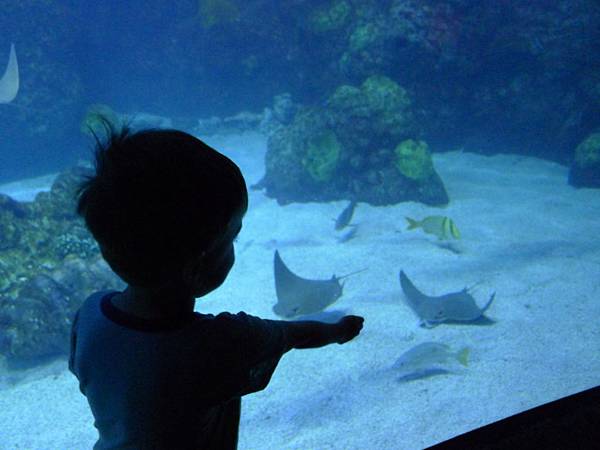 P1090035.JPG