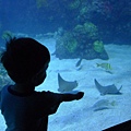 P1090035.JPG