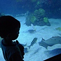 P1090036.JPG