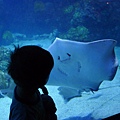 P1090037.JPG
