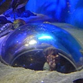 P1090039.JPG