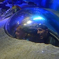P1090044.JPG