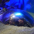 P1090045.JPG