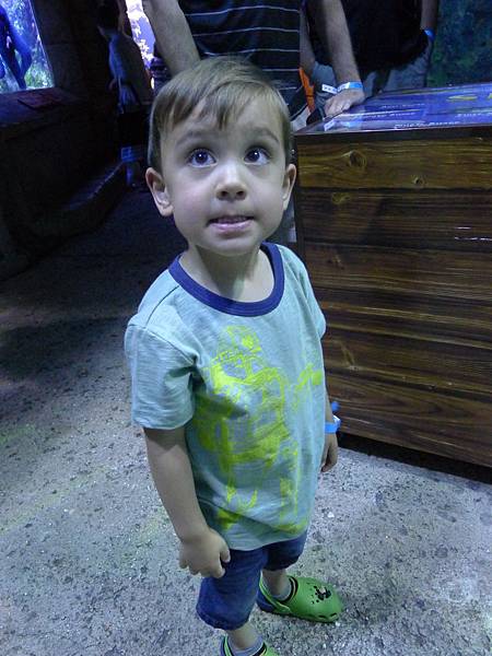 P1090071.JPG