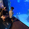 P1090073.JPG