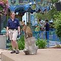 P1090084.JPG