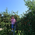 P1090941.JPG