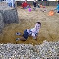 P1100764.JPG