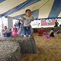 P1100765.JPG