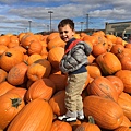 IMG_0093.JPG (2)