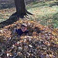 IMG_0127.JPG (2)