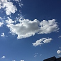 image.jpeg