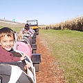 IMG_8296.JPG