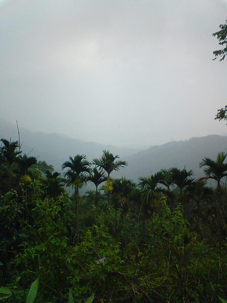 DSC06104.jpg