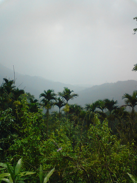 DSC06106.jpg
